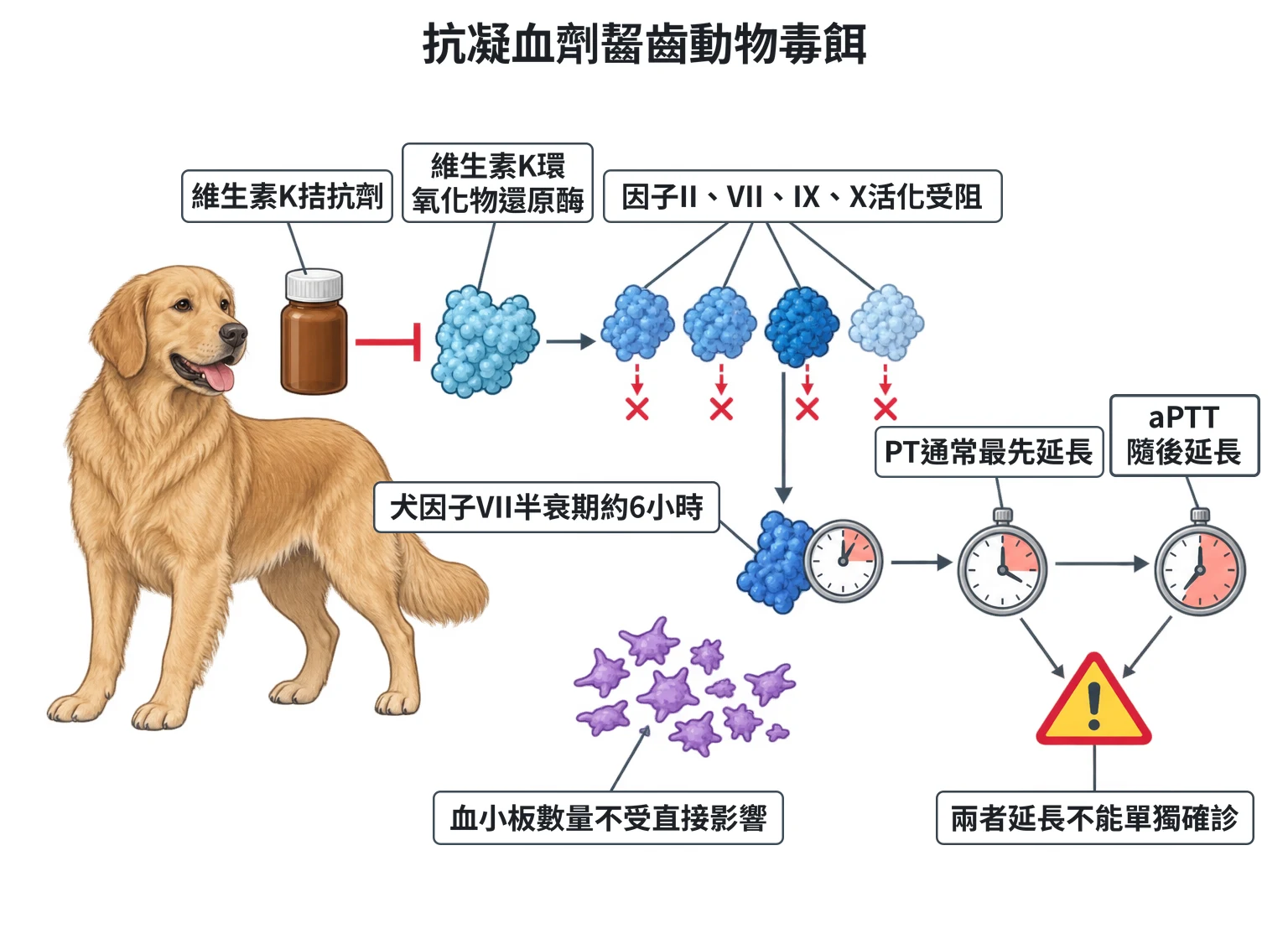 抗凝血劑齧齒動物毒餌教學插圖