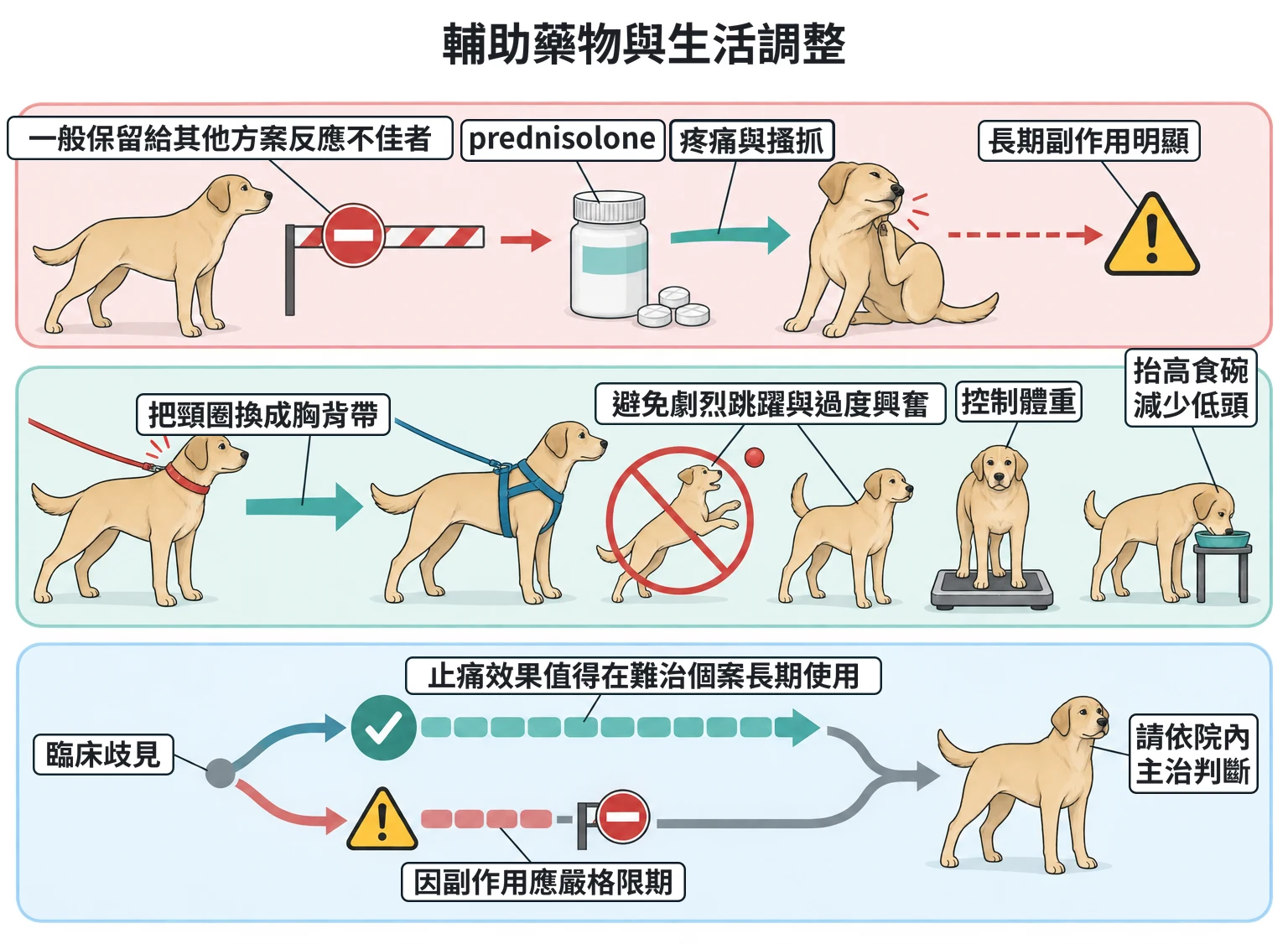 輔助藥物與生活調整教學插圖