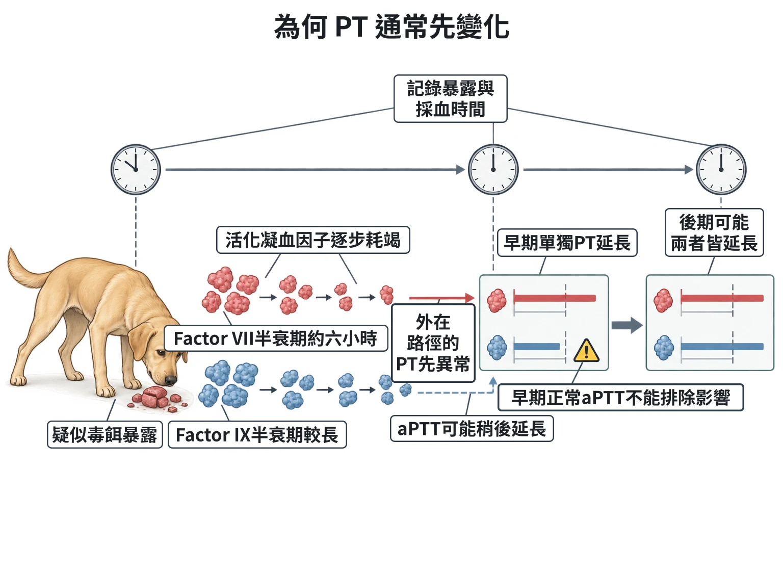 為何 PT 通常先變化教學插圖