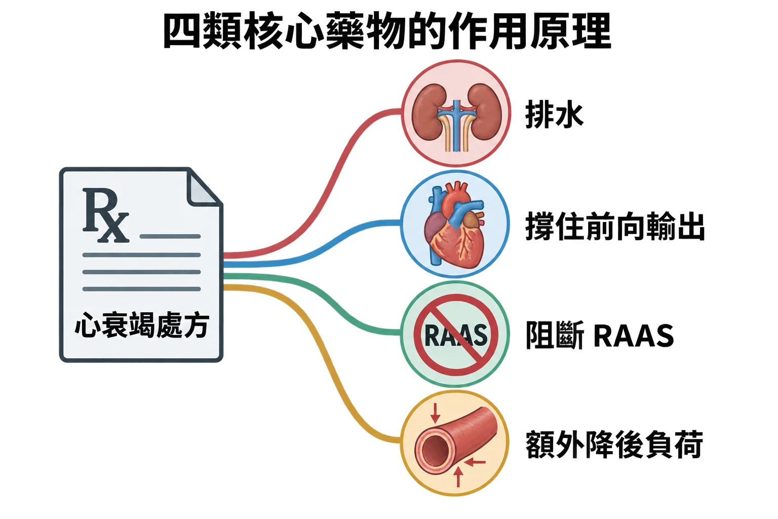 四類核心藥物的作用原理教學插圖