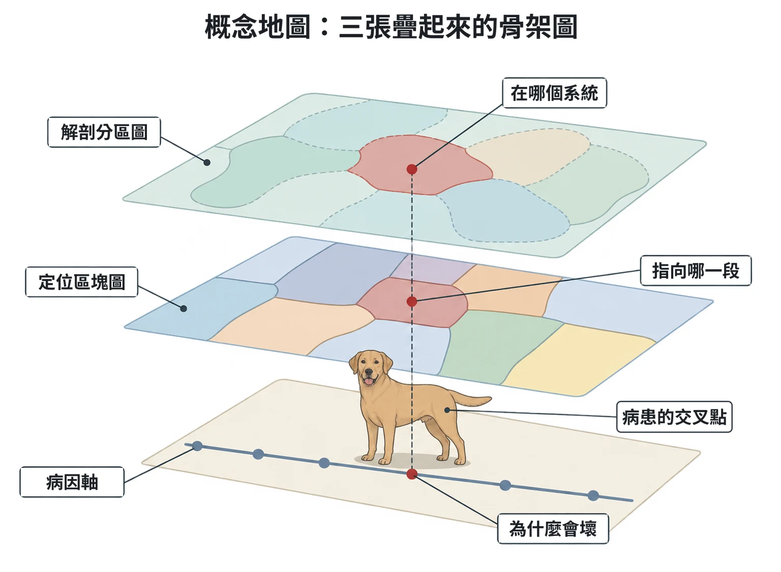 概念地圖:三張疊起來的骨架圖教學插圖