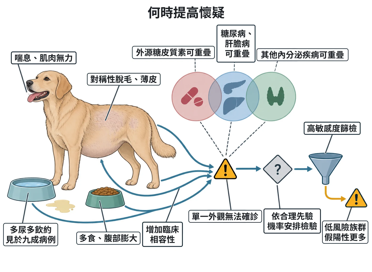何時提高懷疑教學插圖