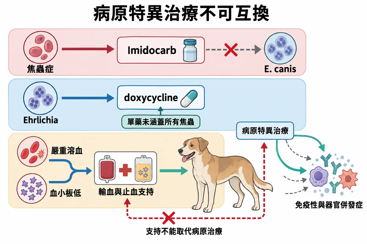 病原特異治療不可互換教學插圖