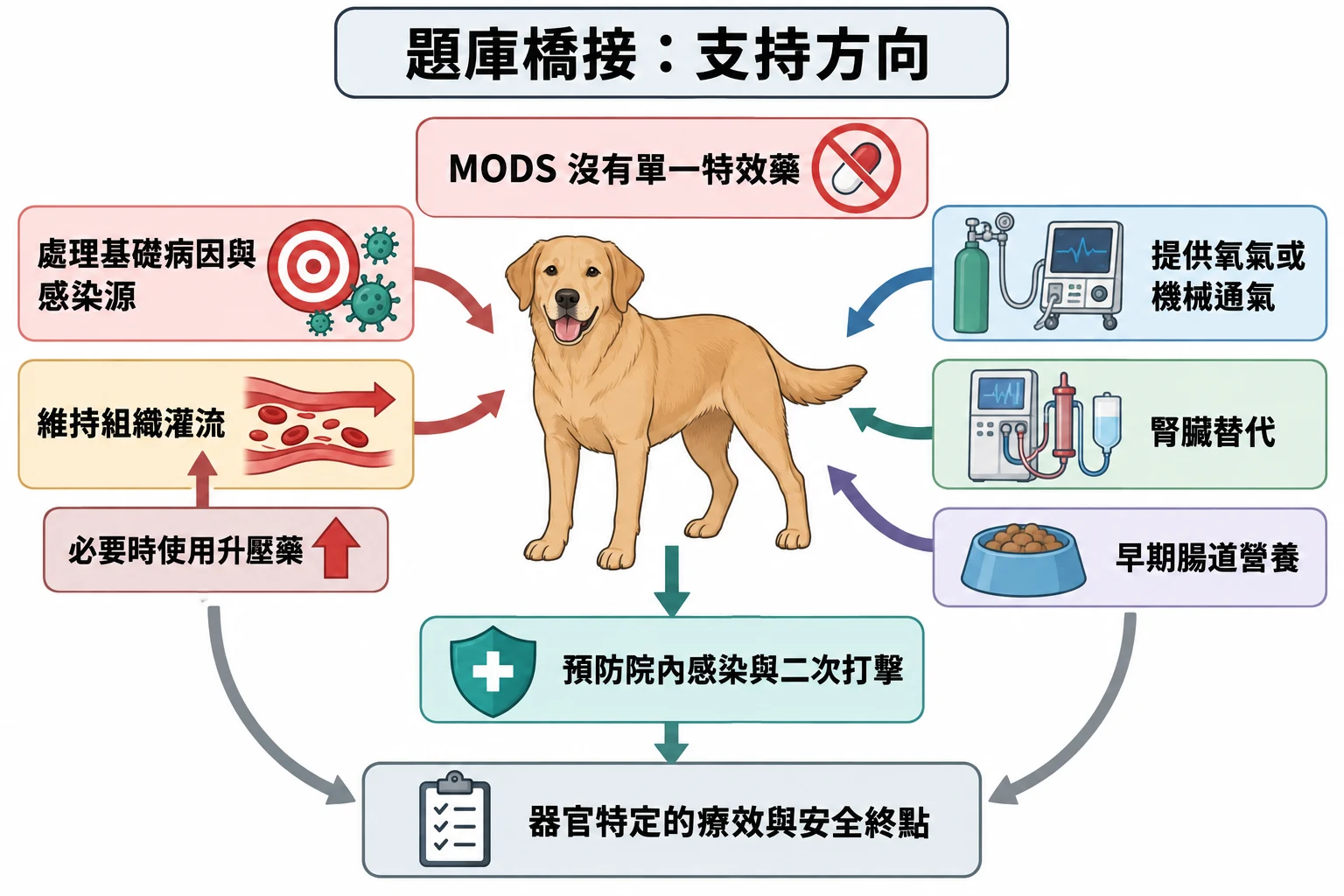 題庫橋接:支持方向教學插圖