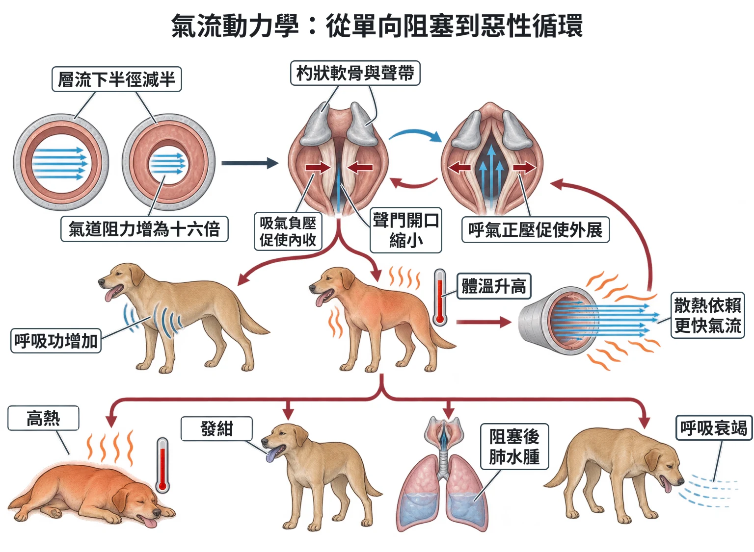 氣流動力學:從單向阻塞到惡性循環教學插圖