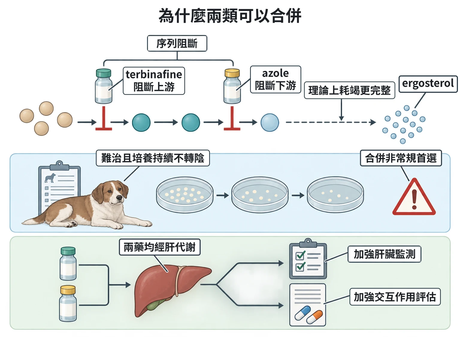 為什麼兩類可以合併教學插圖