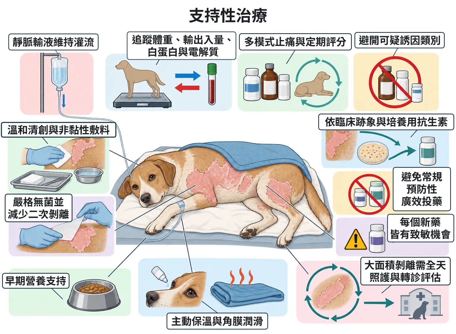支持性治療教學插圖