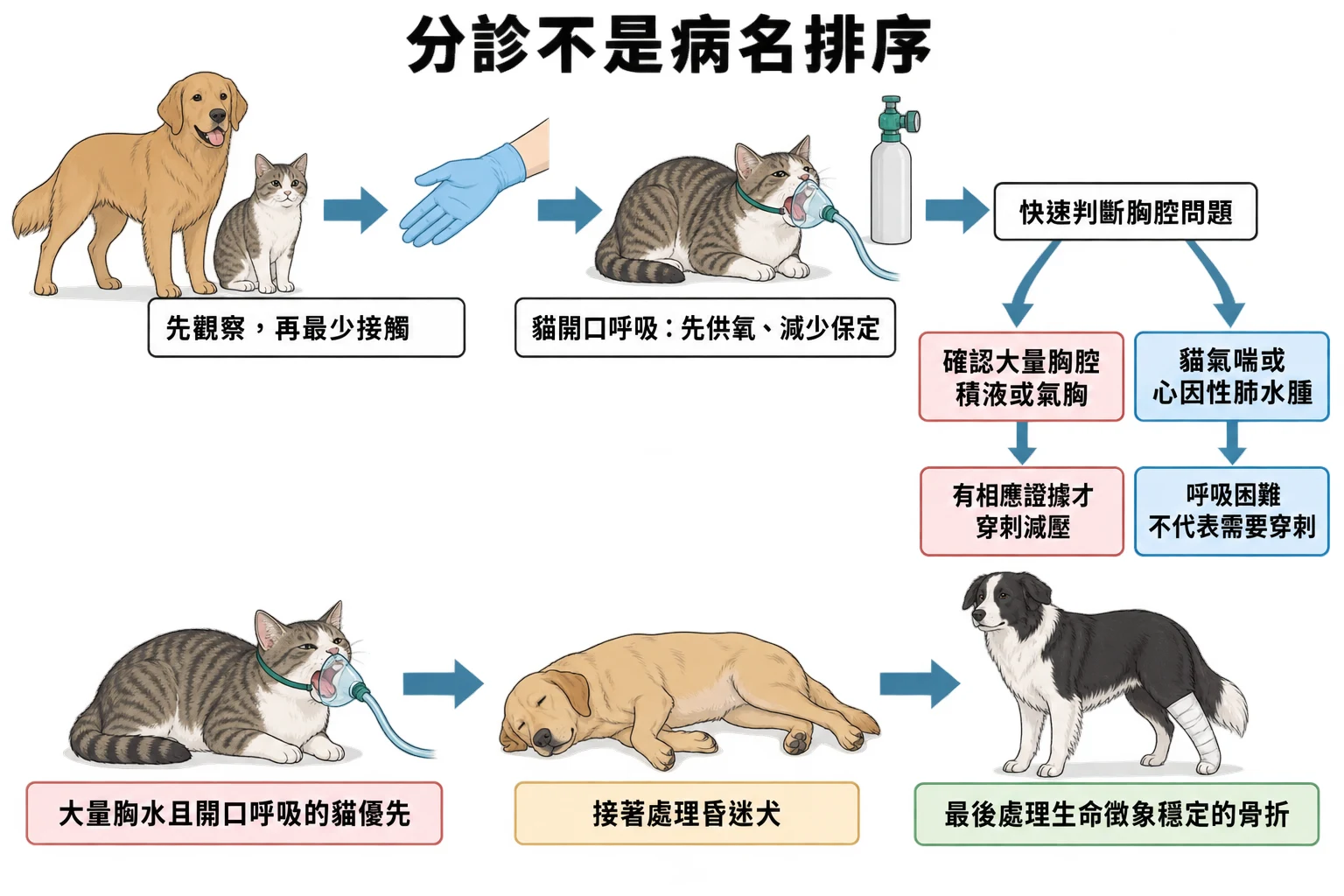 分診不是病名排序教學插圖