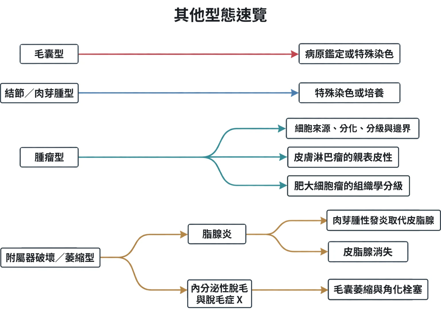 其他型態速覽教學插圖