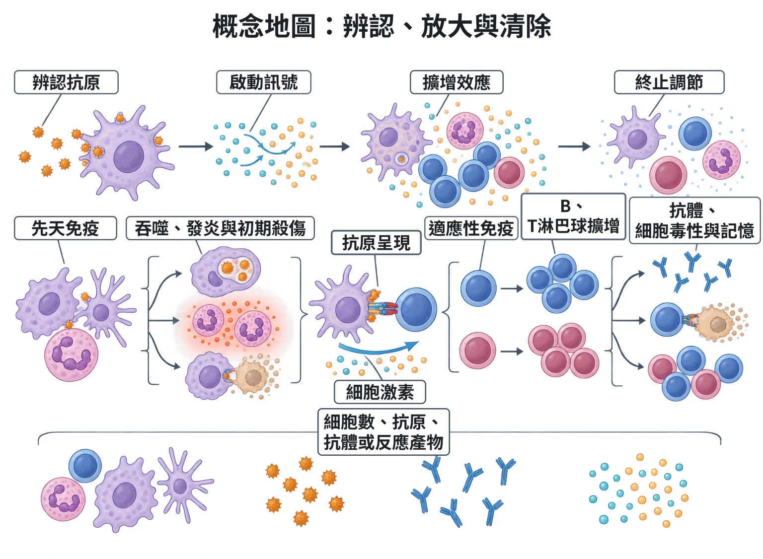 概念地圖:辨認、放大與清除教學插圖