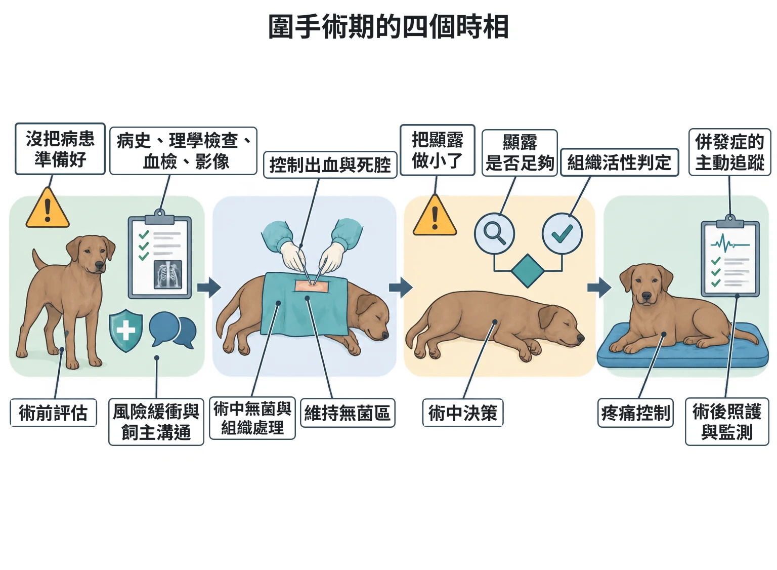 圍手術期的四個時相教學插圖