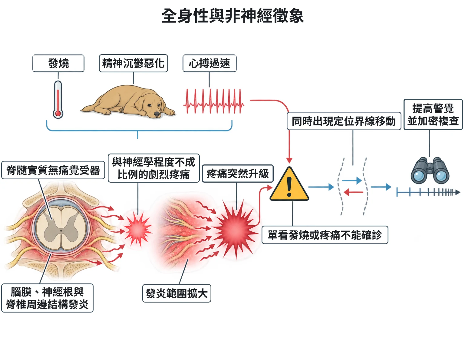 全身性與非神經徵象教學插圖