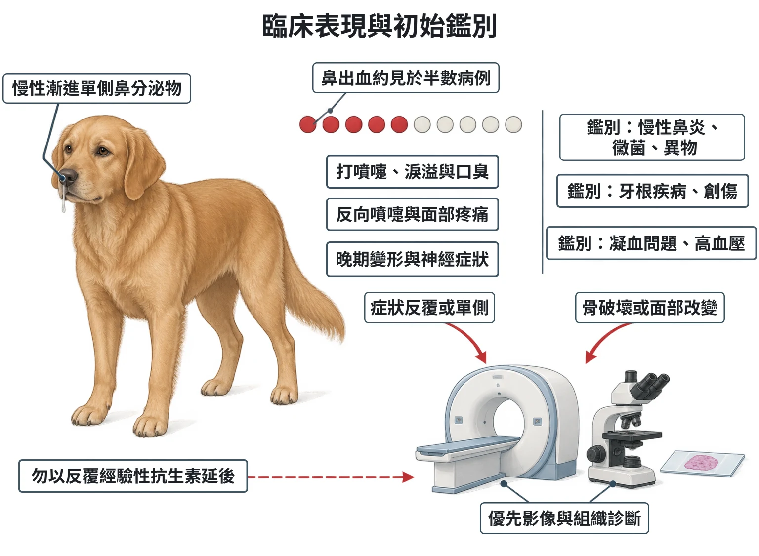 臨床表現與初始鑑別教學插圖