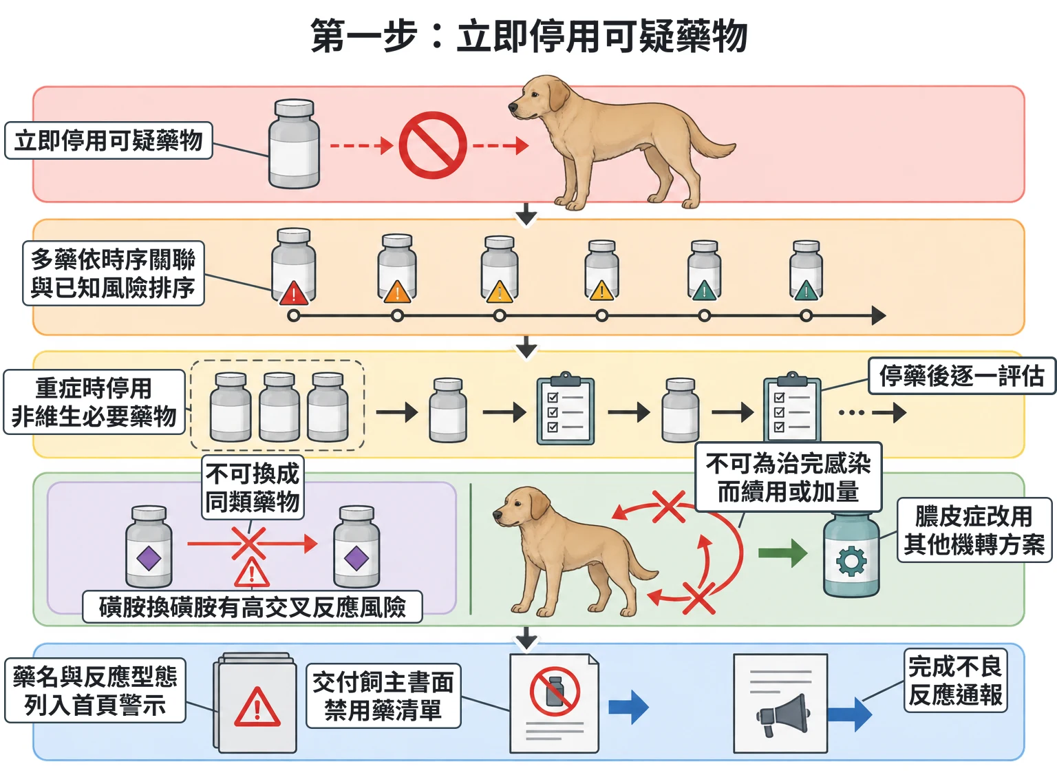 第一步:立即停用可疑藥物教學插圖