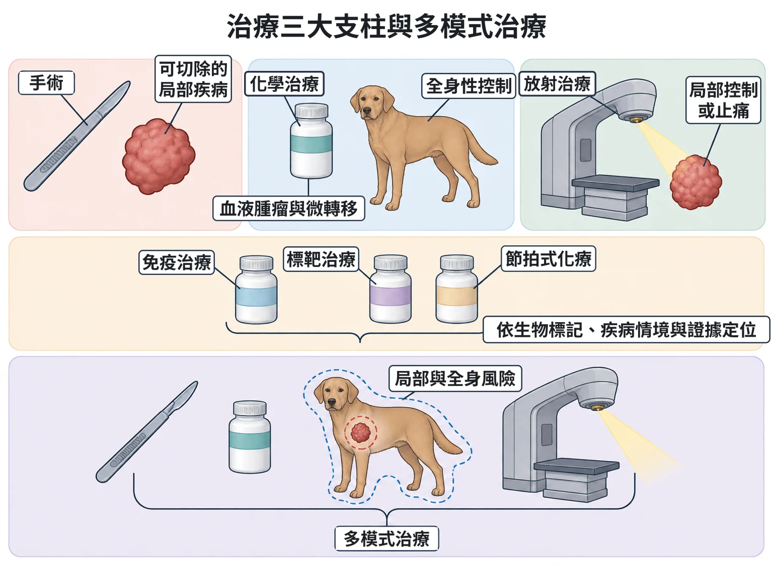 治療三大支柱與多模式治療教學插圖