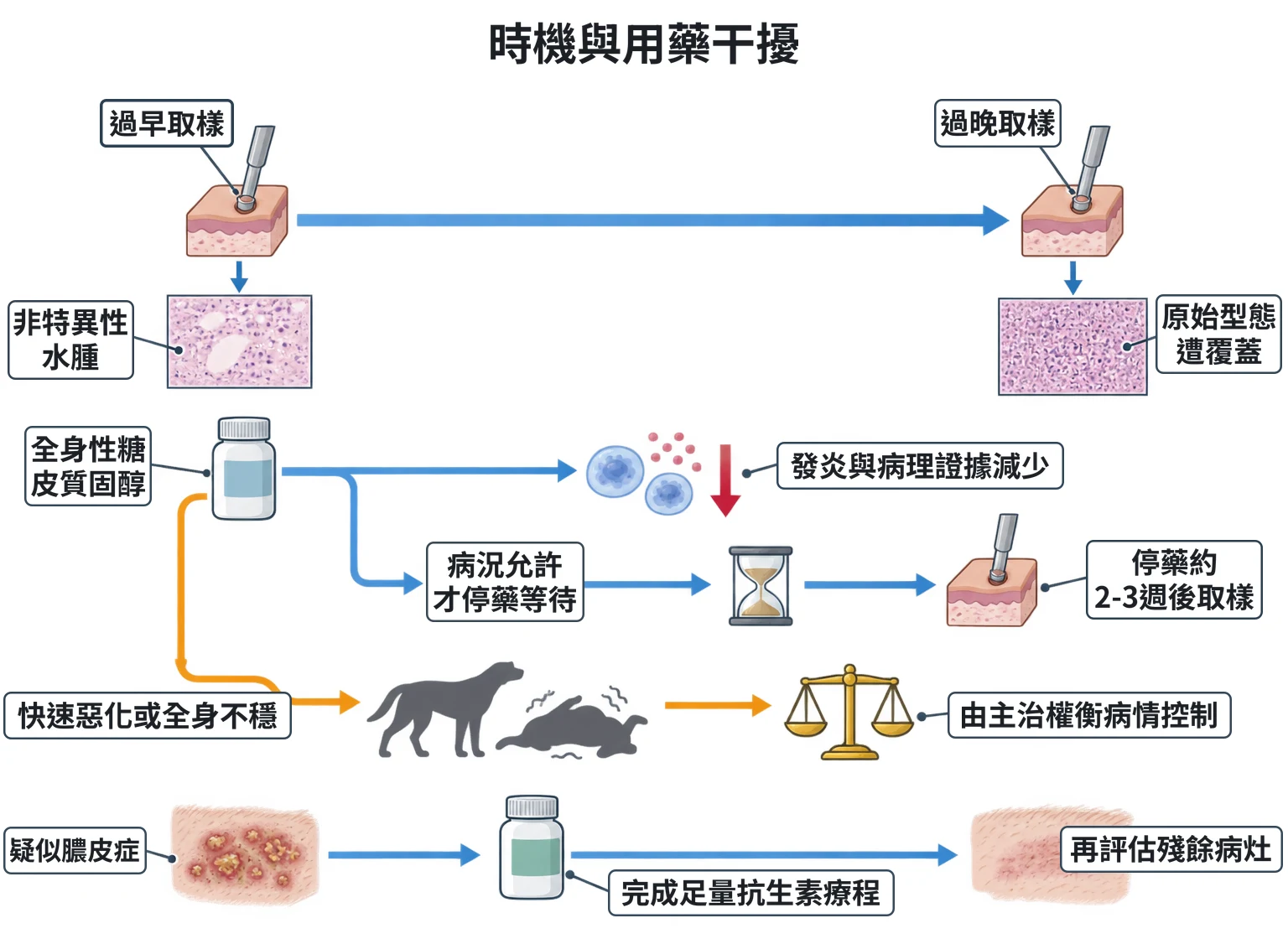 時機與用藥干擾教學插圖
