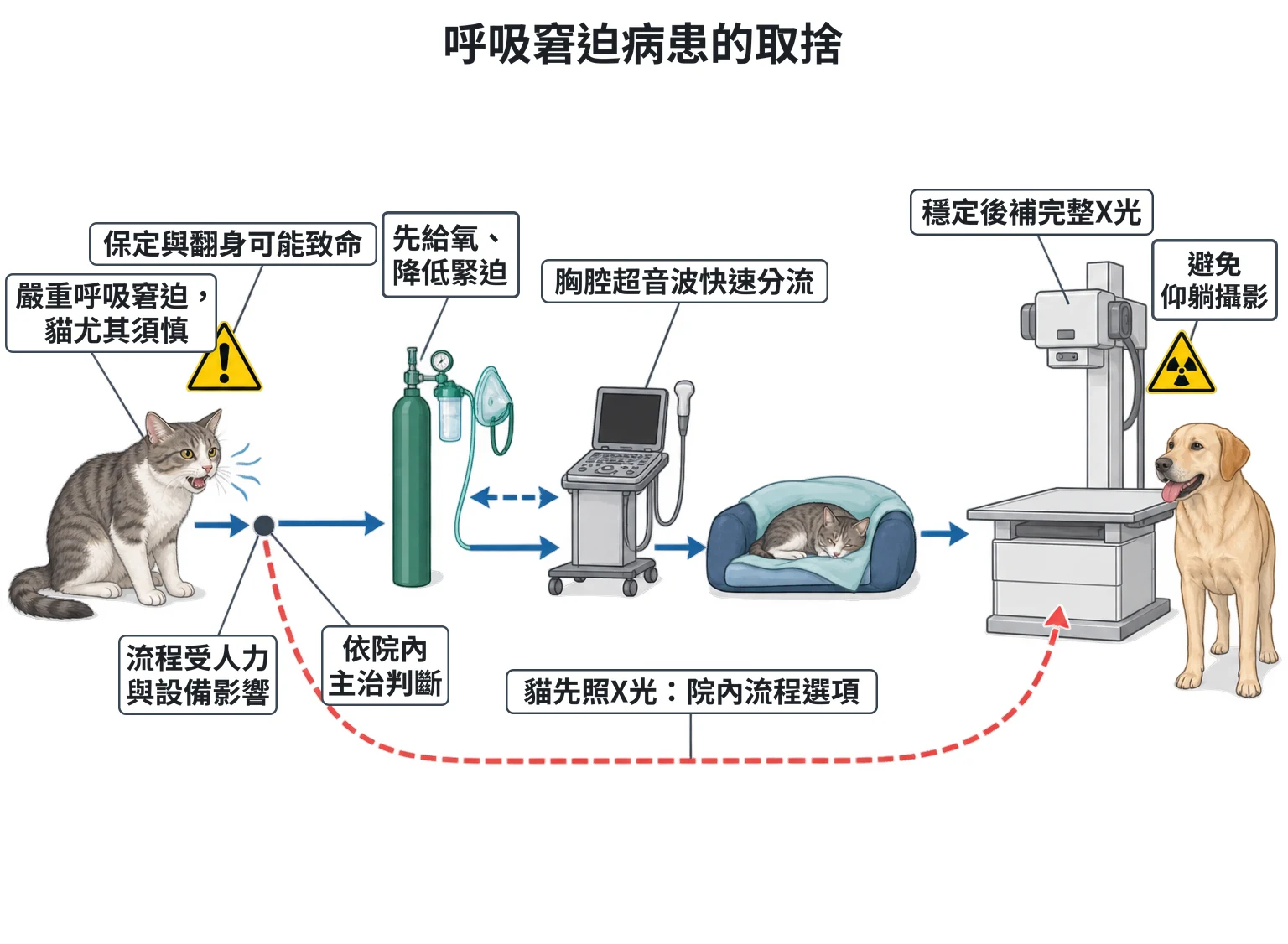呼吸窘迫病患的取捨教學插圖