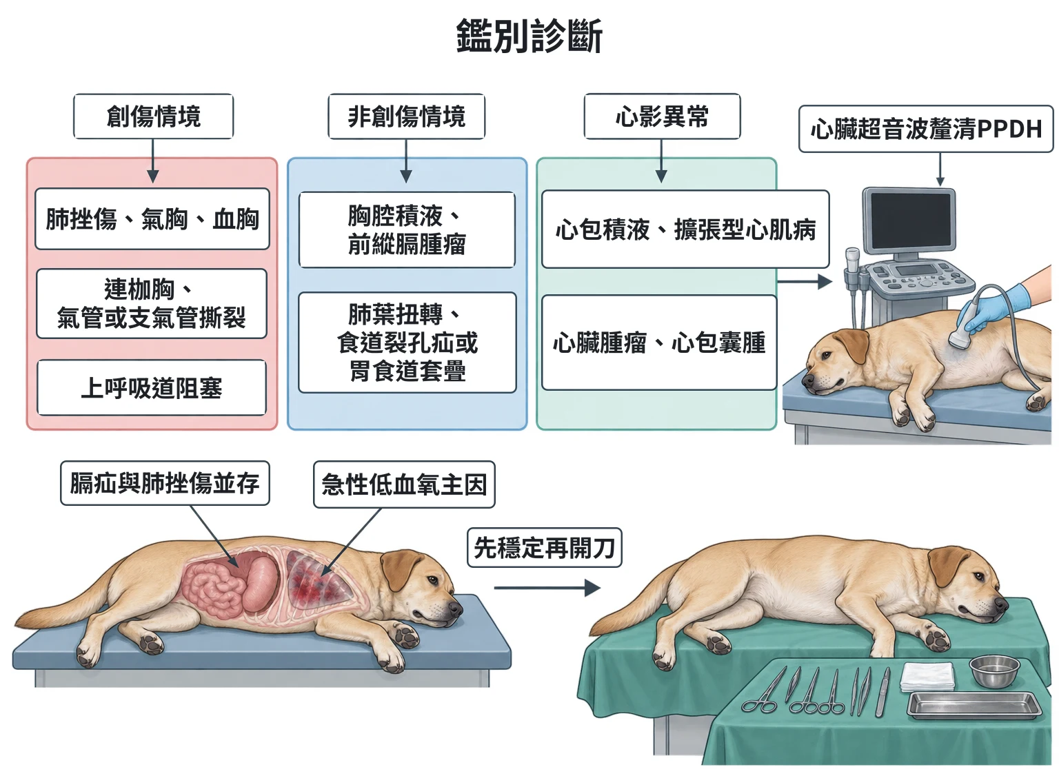 鑑別診斷教學插圖
