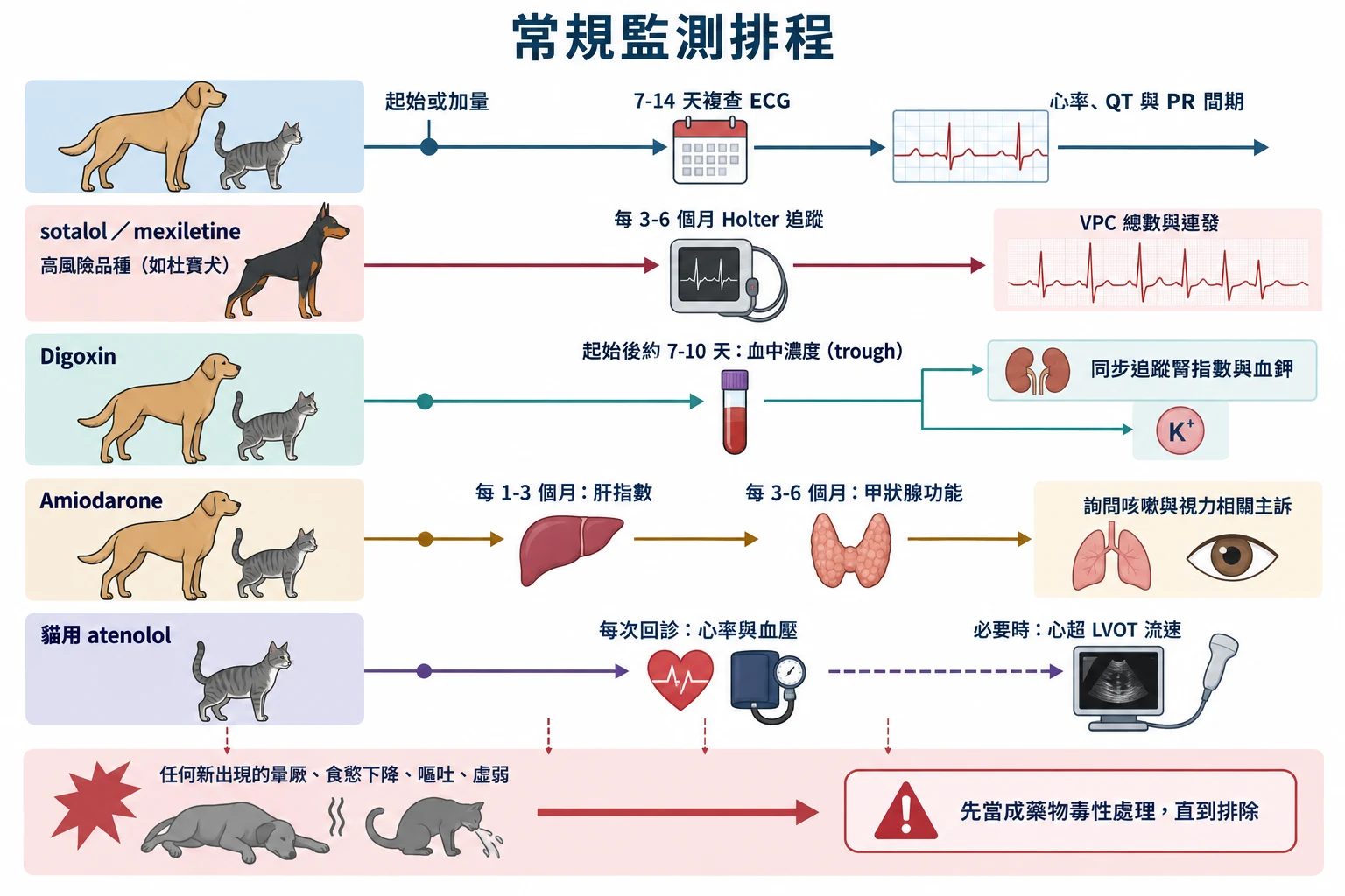常規監測排程教學插圖