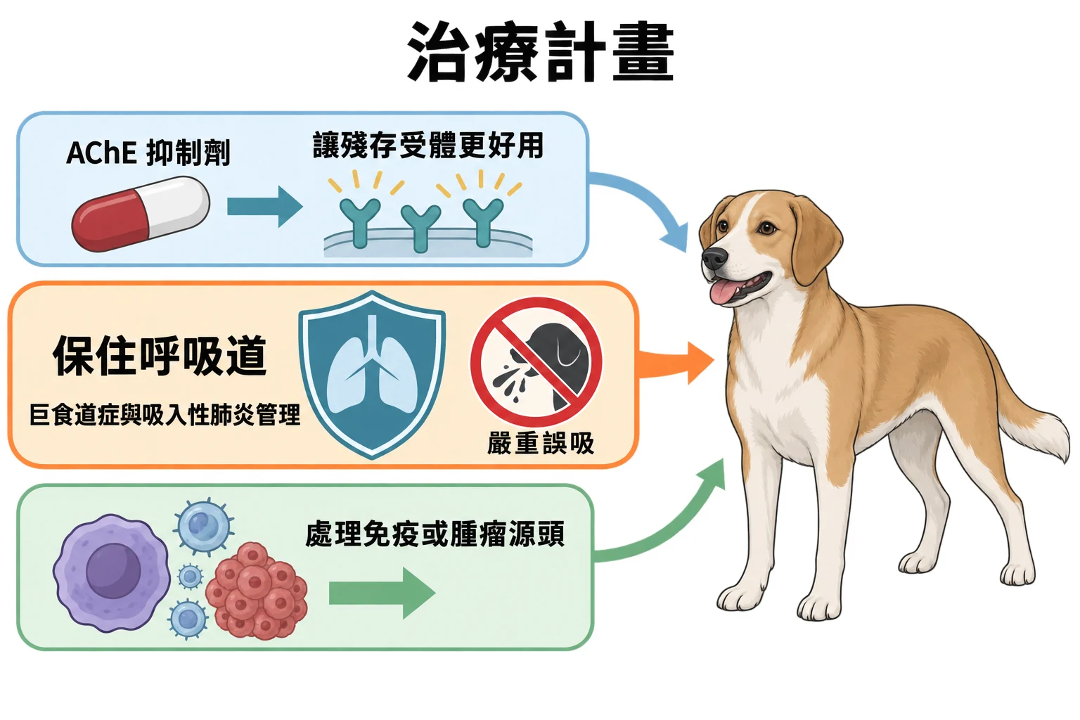 治療計畫教學插圖