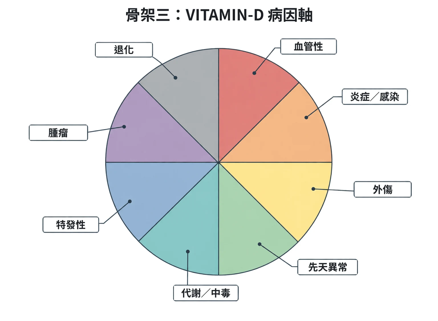 骨架三:VITAMIN-D 病因軸教學插圖