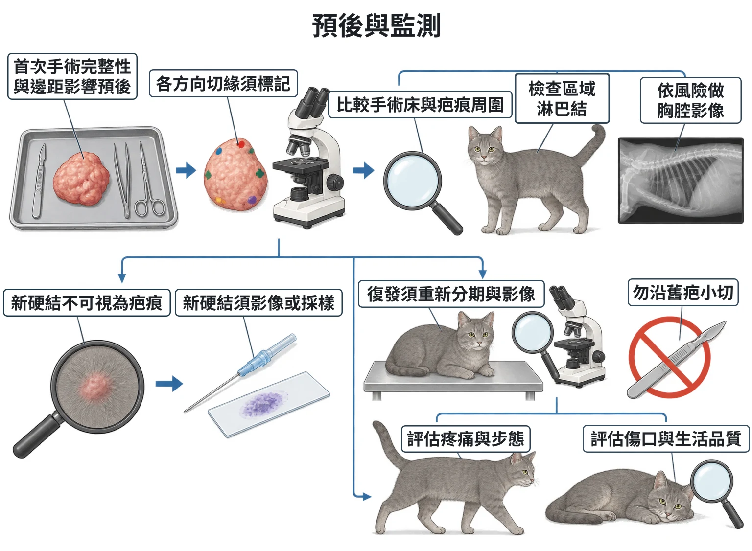 預後與監測教學插圖