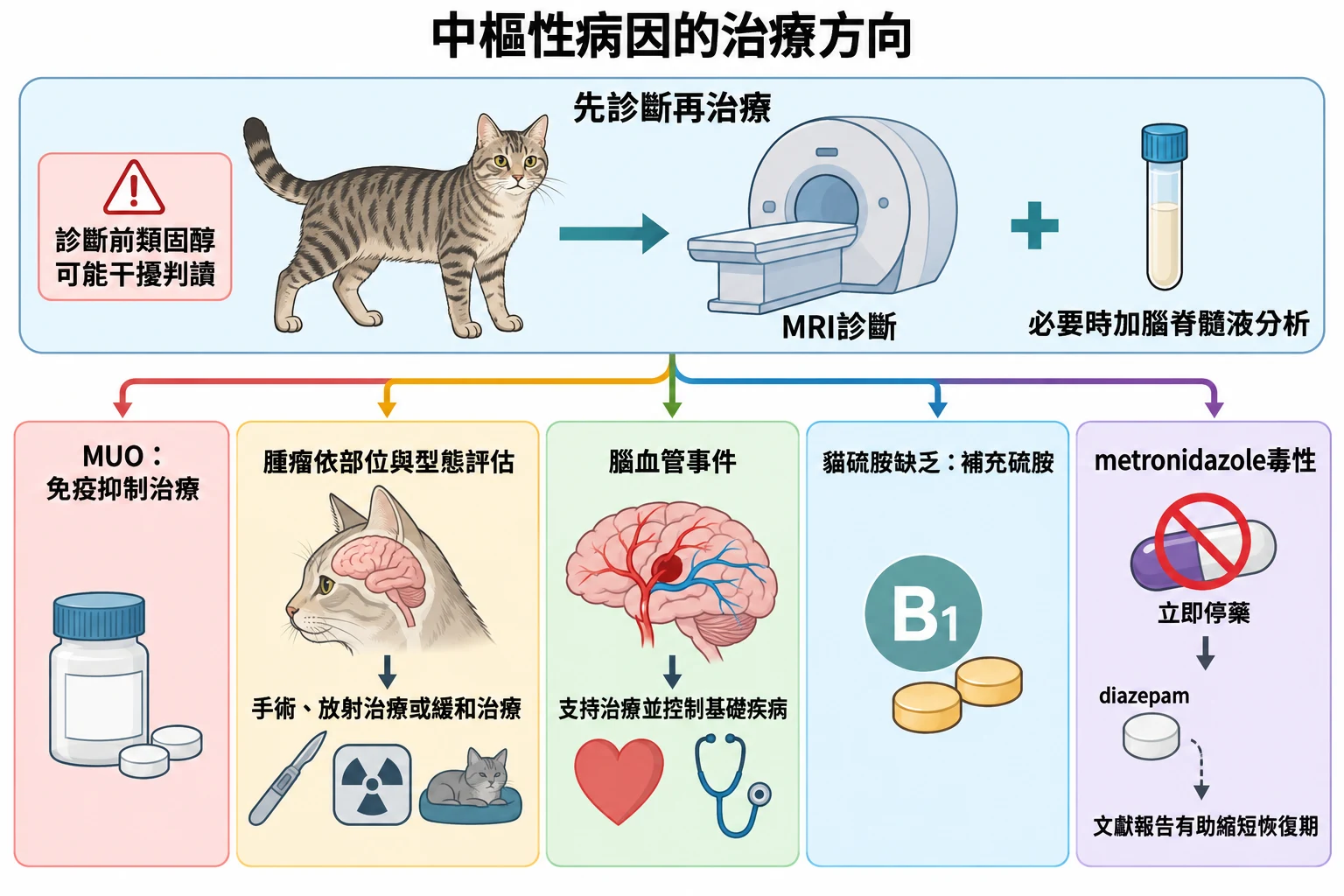 中樞性病因的治療方向教學插圖