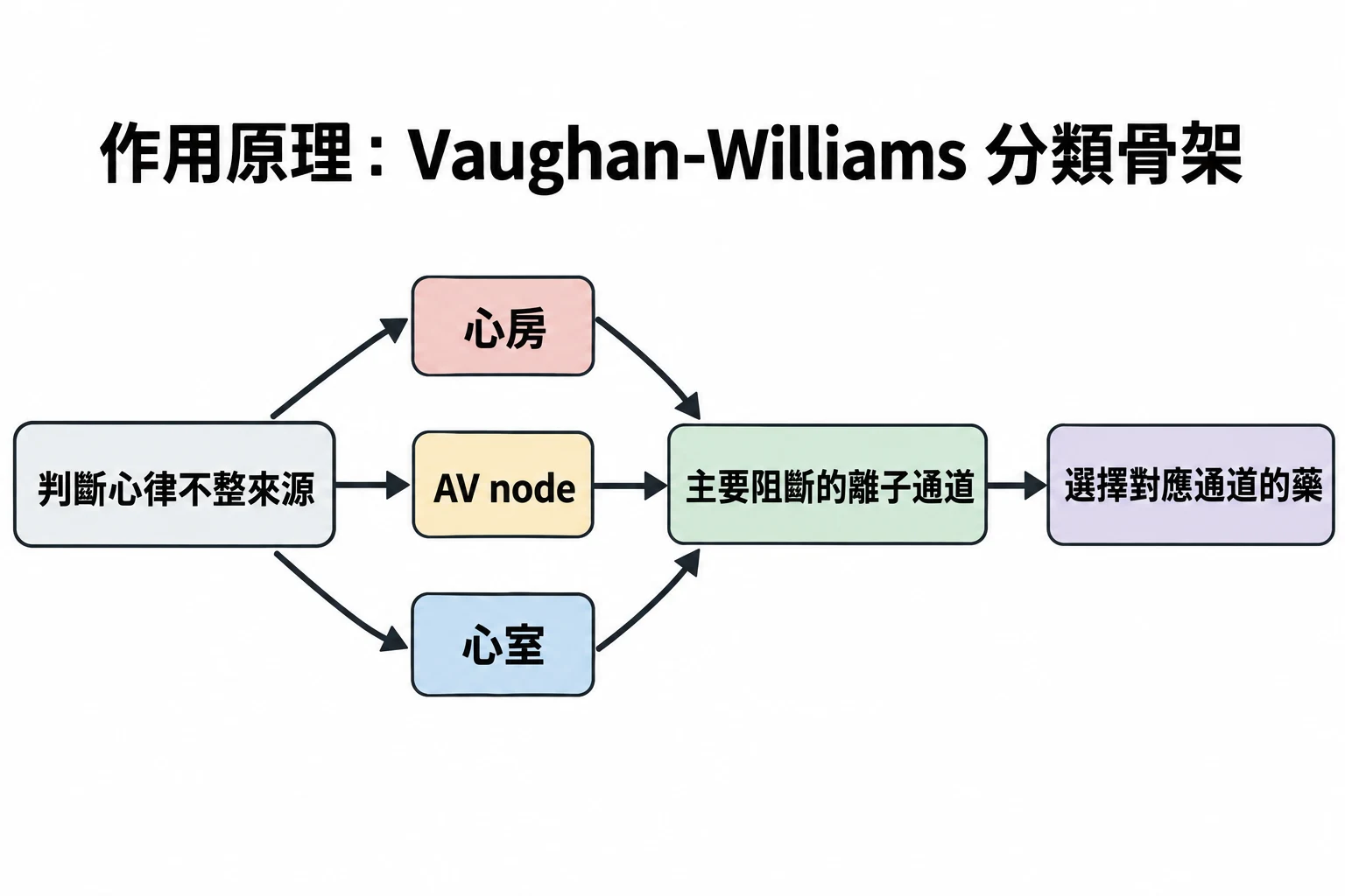 作用原理:Vaughan-Williams 分類骨架教學插圖
