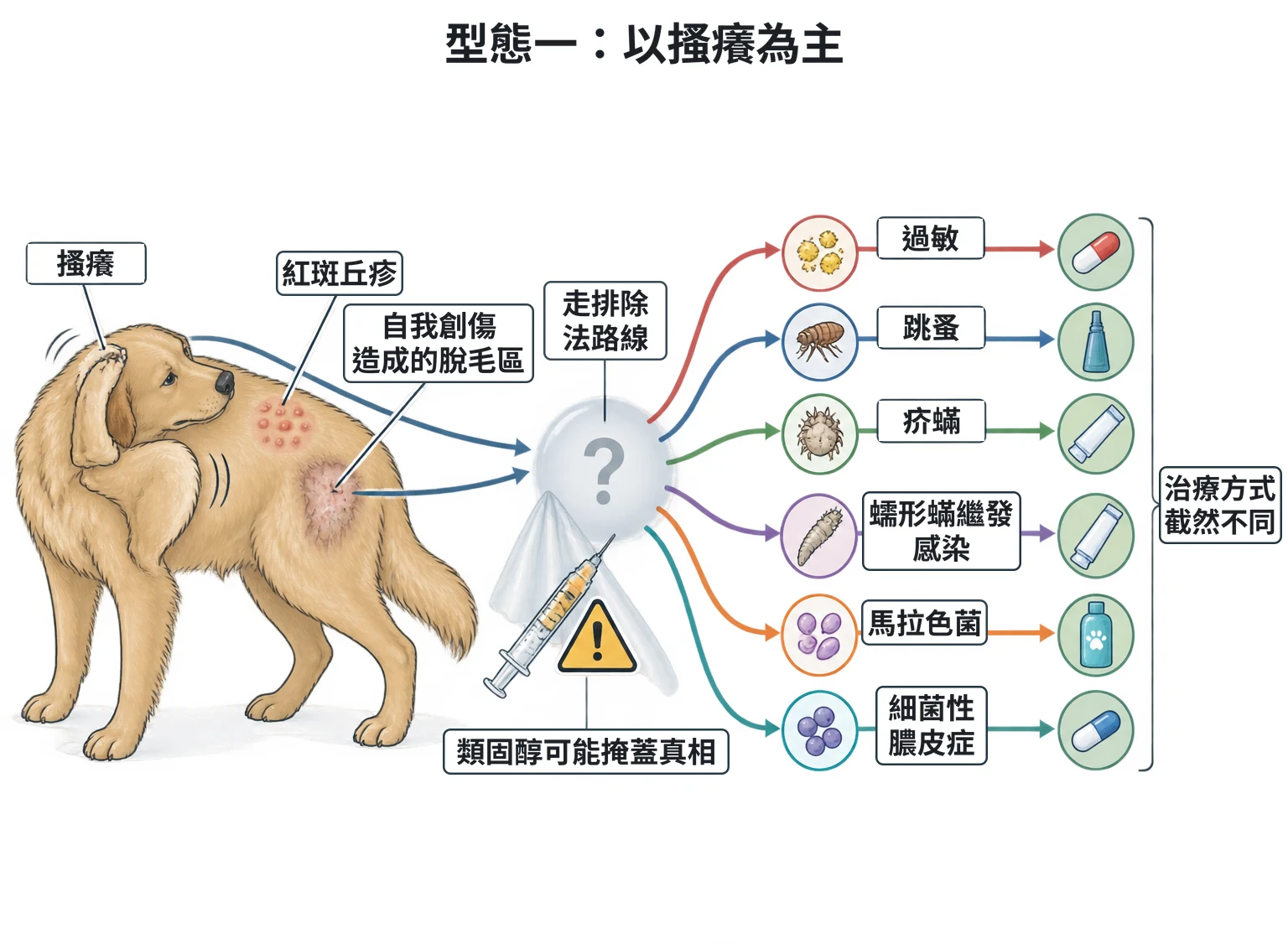 型態一:以搔癢為主教學插圖