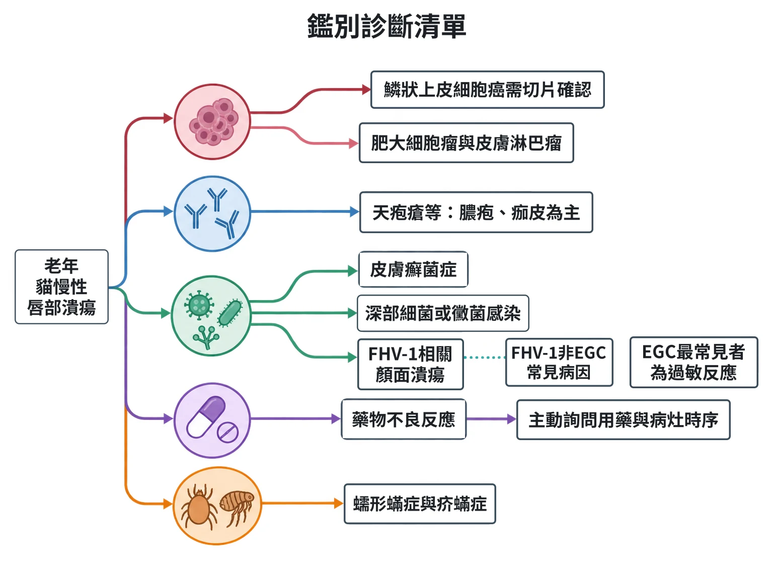 鑑別診斷清單教學插圖