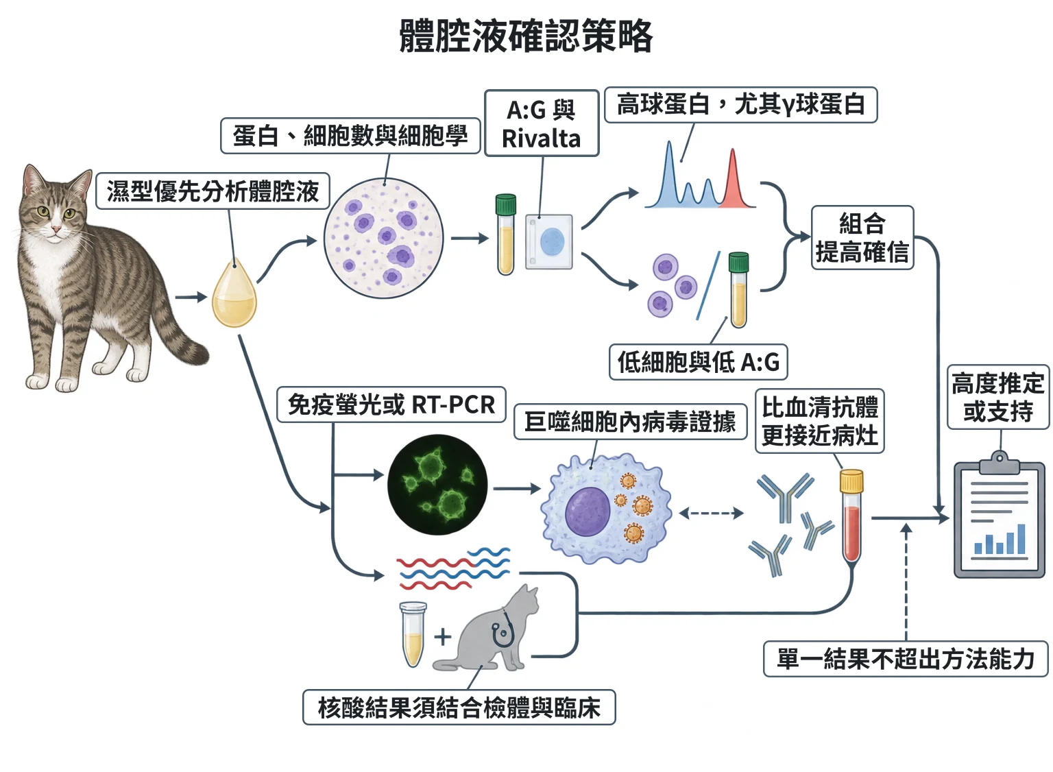 體腔液確認策略教學插圖