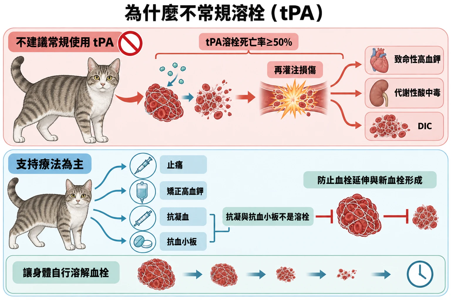 為什麼不常規溶栓(tPA)教學插圖