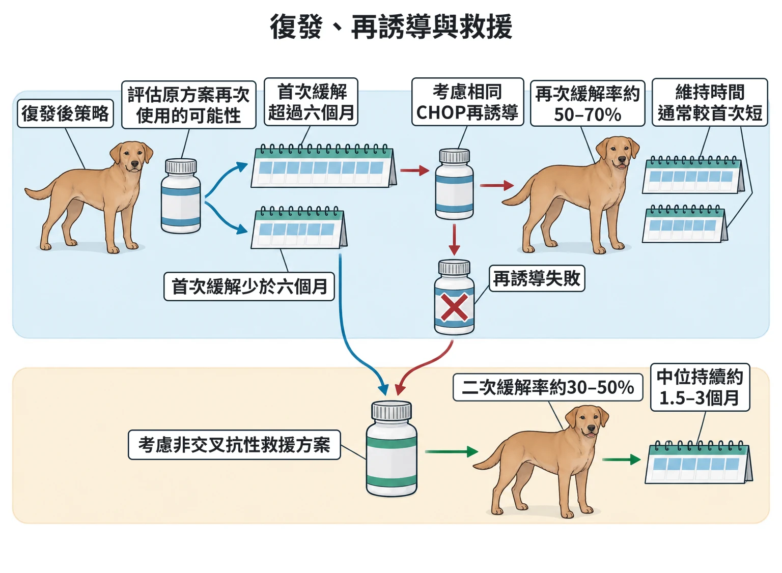 復發、再誘導與救援教學插圖