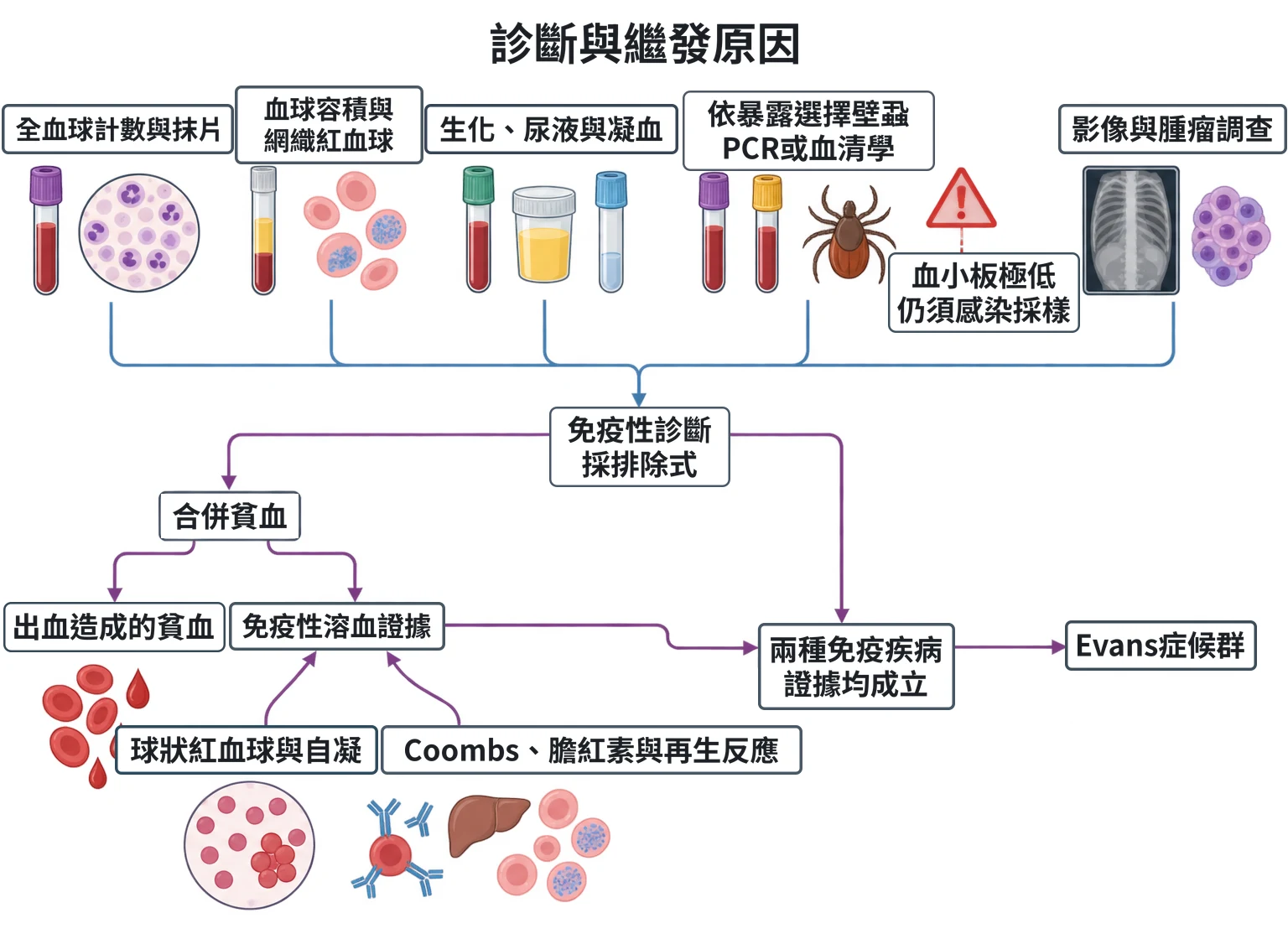 診斷與繼發原因教學插圖