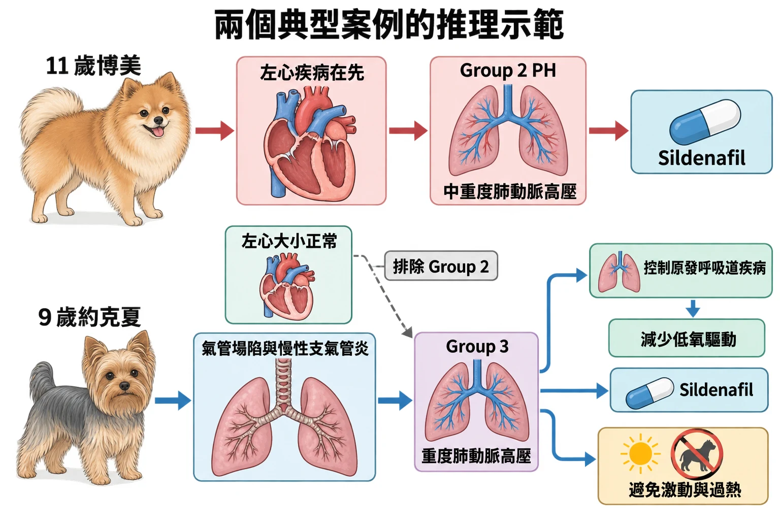 兩個典型案例的推理示範教學插圖