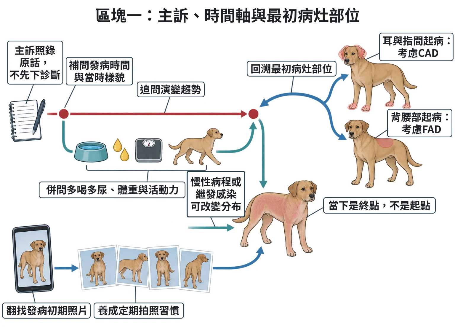 區塊一:主訴、時間軸與最初病灶部位教學插圖