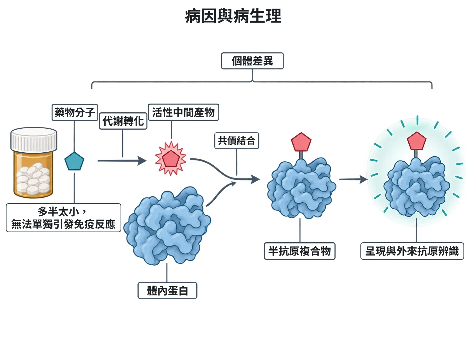 病因與病生理教學插圖