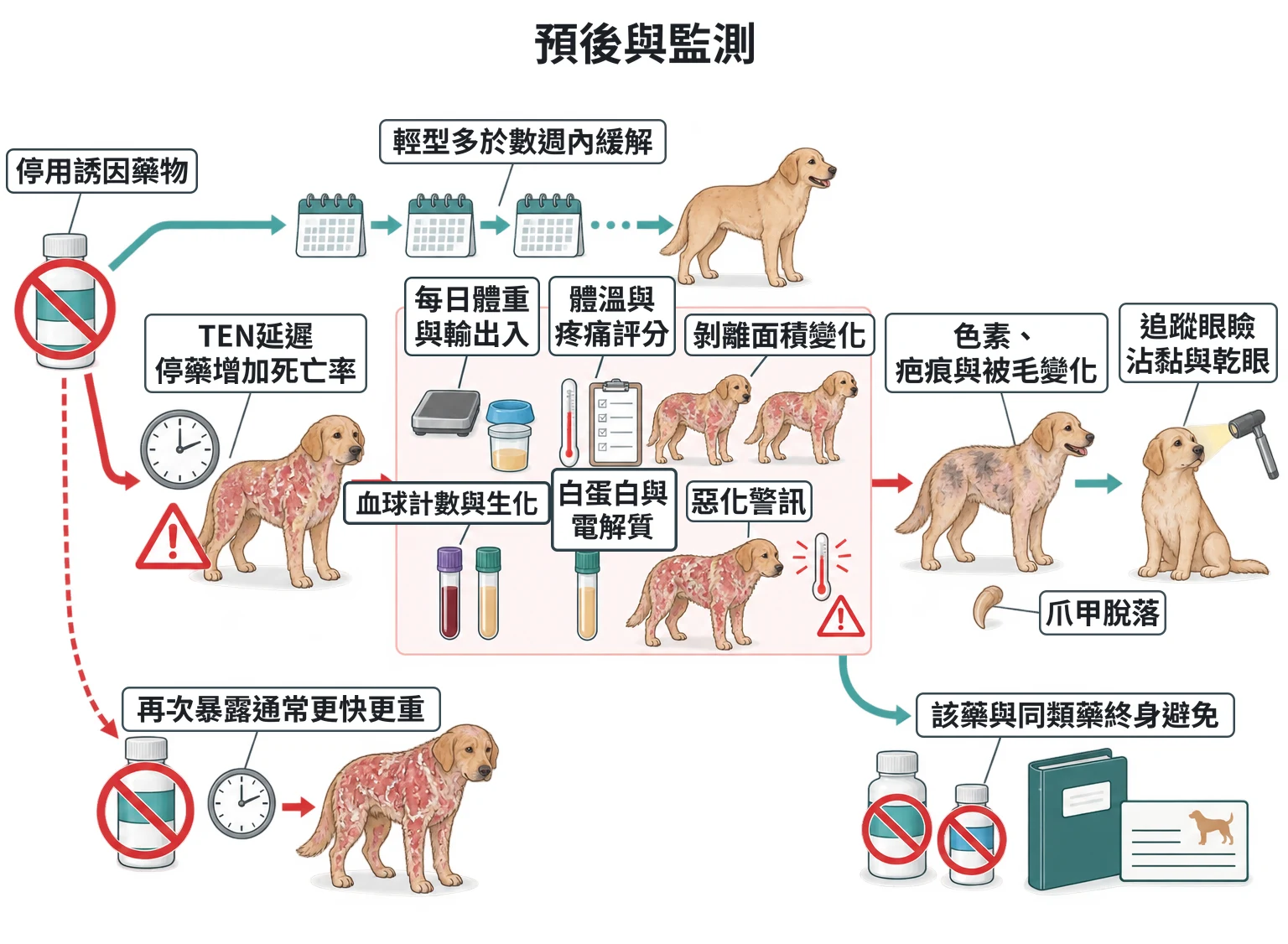 預後與監測教學插圖