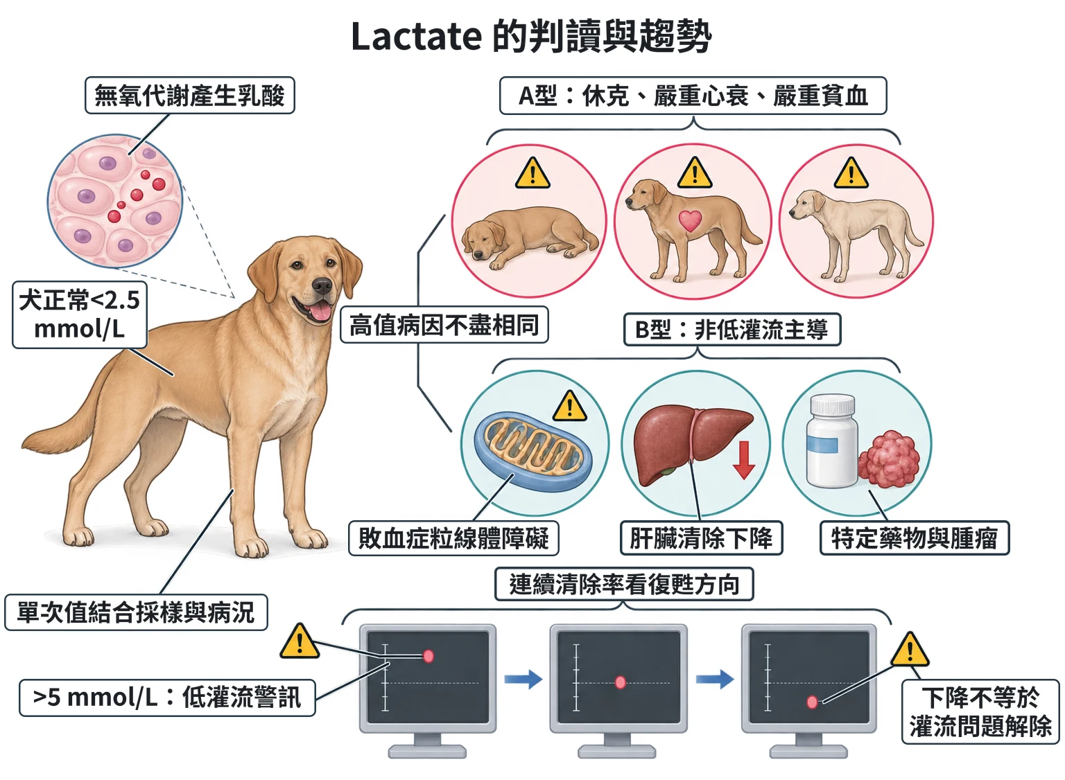 Lactate 的判讀與趨勢教學插圖