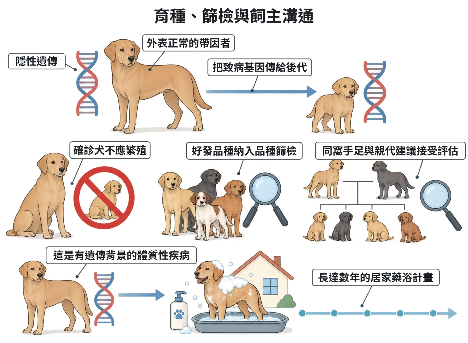 育種、篩檢與飼主溝通教學插圖