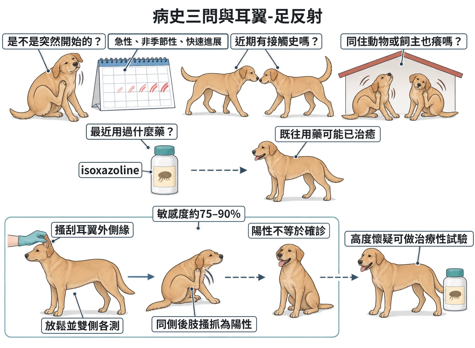 病史三問與耳翼-足反射教學插圖