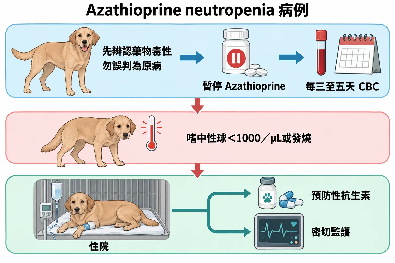 Azathioprine neutropenia 病例教學插圖