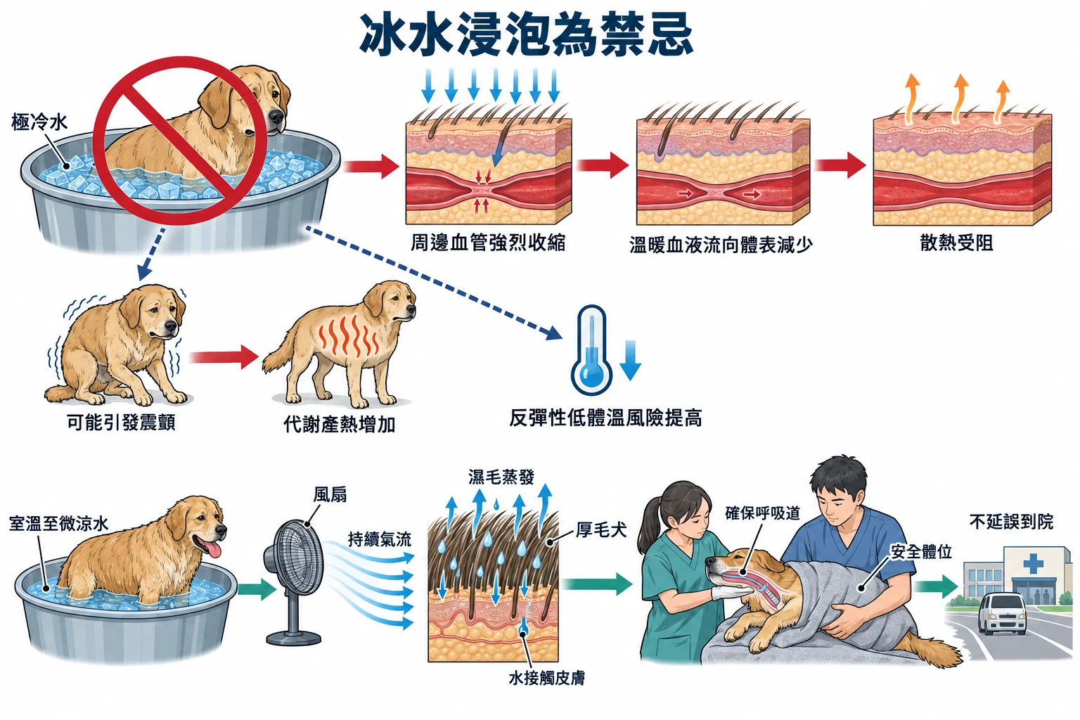 冰水浸泡為禁忌教學插圖
