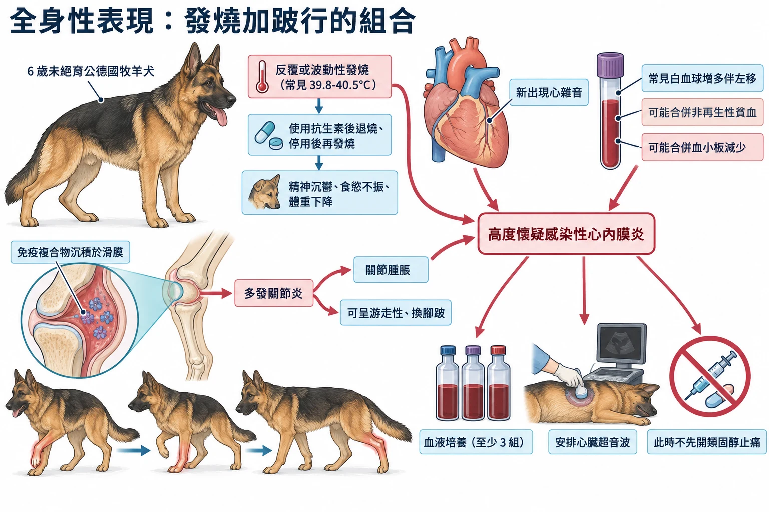 全身性表現:發燒加跛行的組合教學插圖