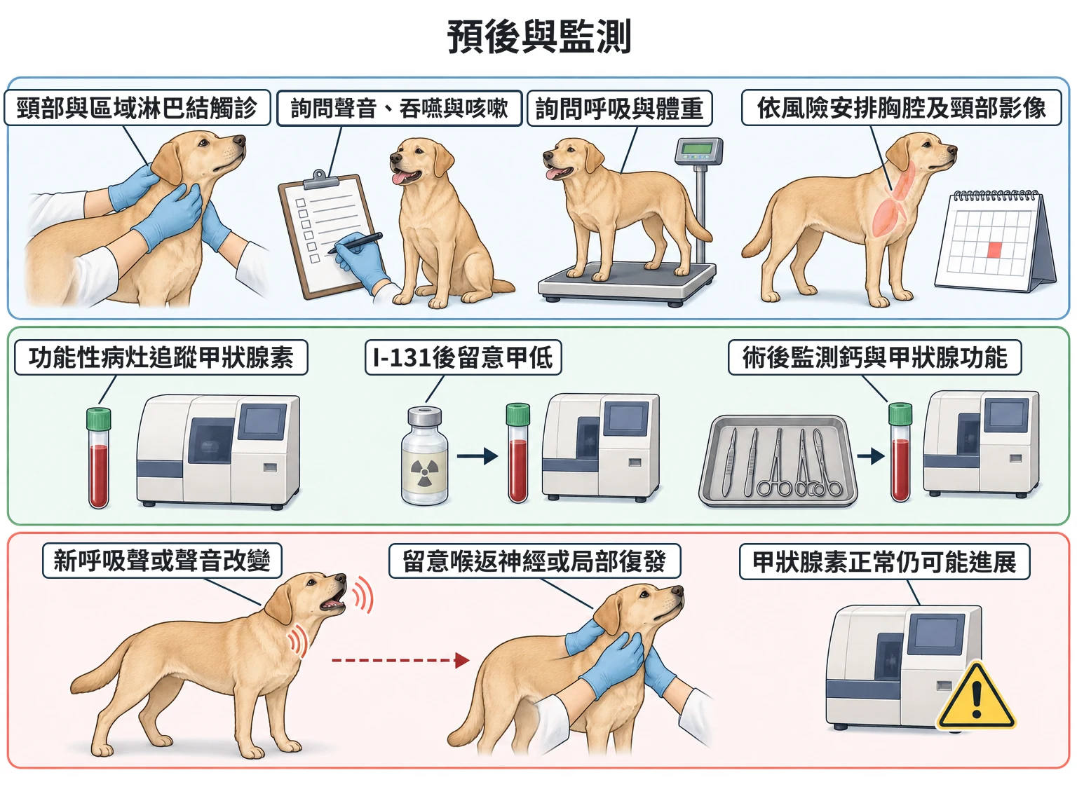 預後與監測教學插圖
