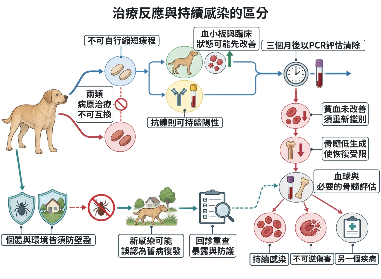治療反應與持續感染的區分教學插圖