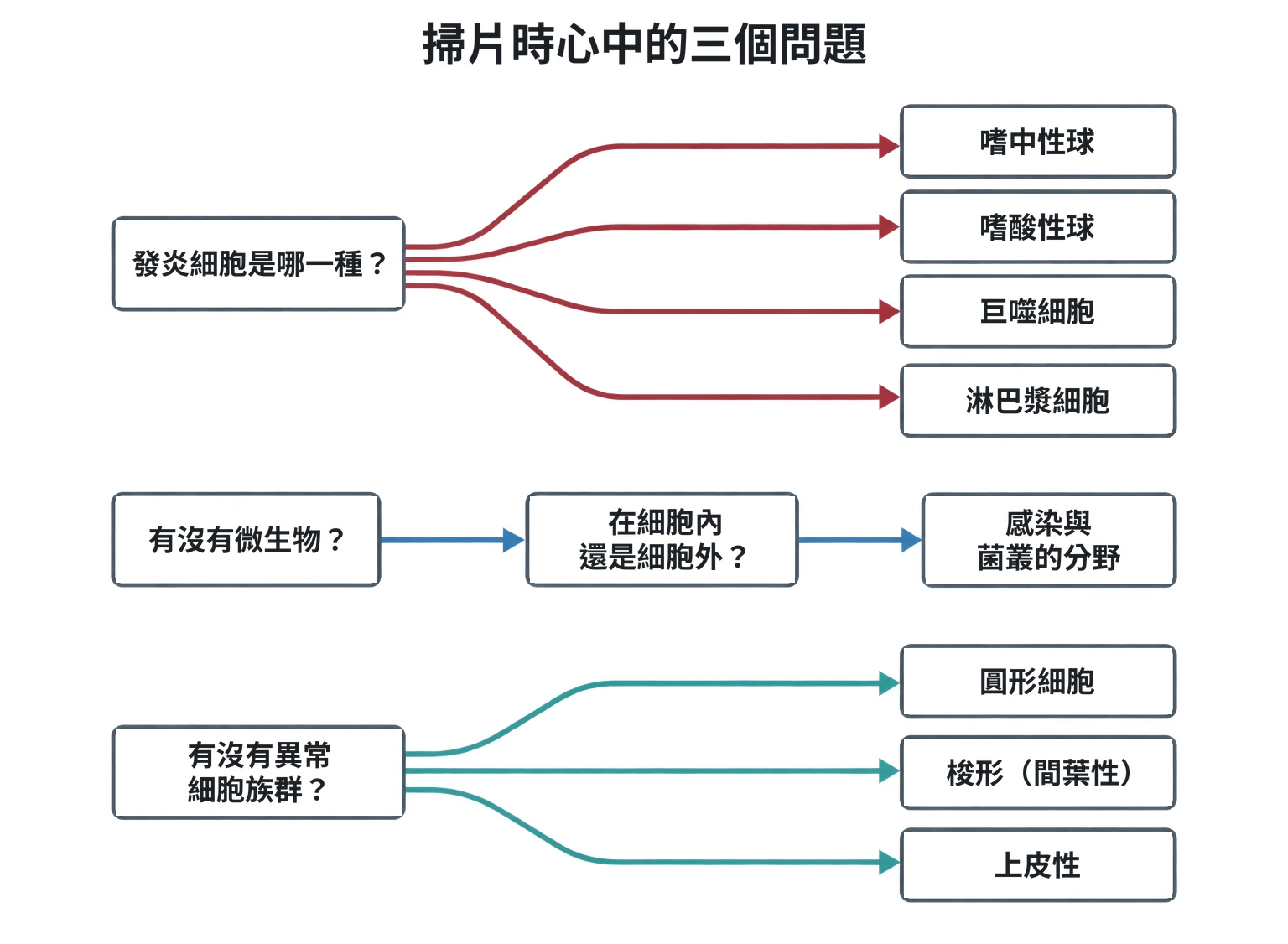 掃片時心中的三個問題教學插圖