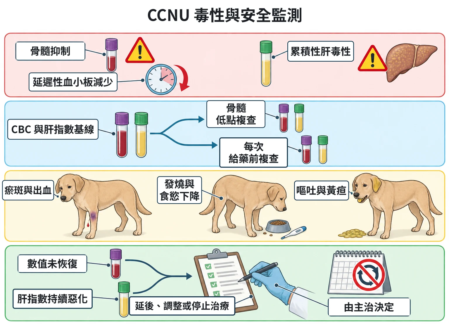 CCNU 毒性與安全監測教學插圖