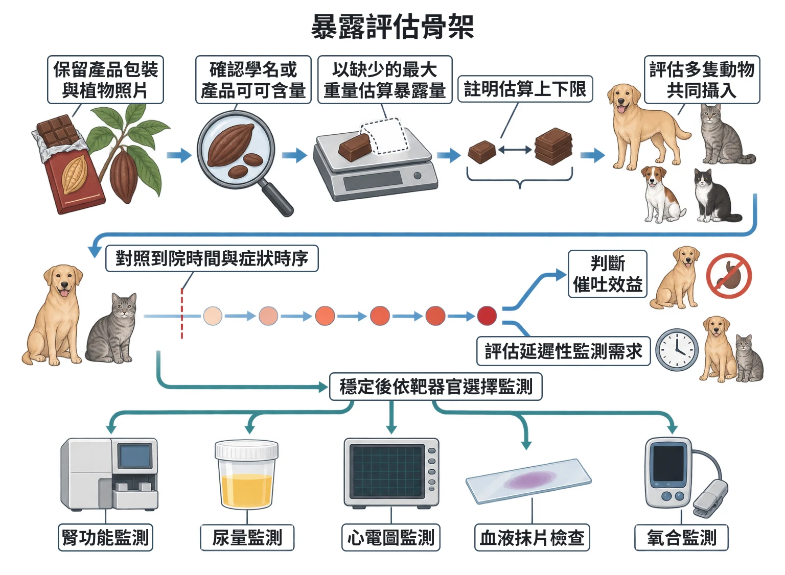 暴露評估骨架教學插圖