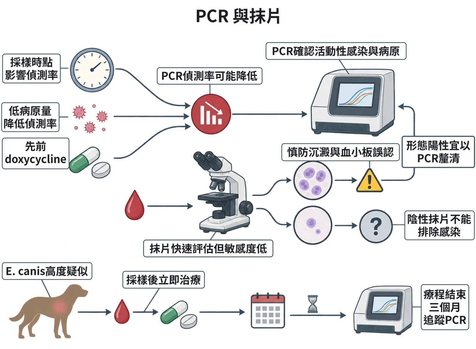 PCR 與抹片教學插圖